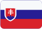 DB BÖHM Sdružení Slovensky
